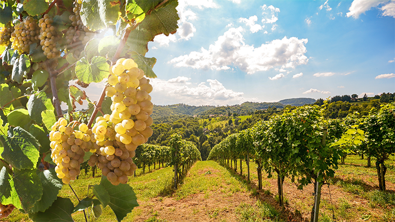 �sterrike & Tjeckien